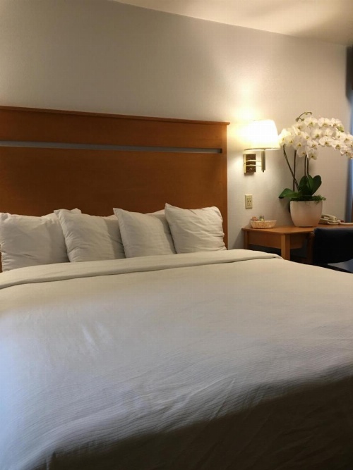 OceanView Motel image 44