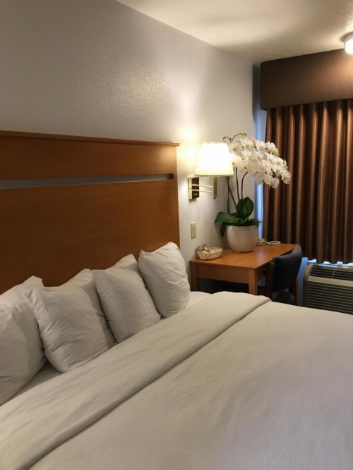 OceanView Motel image 45