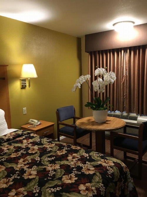 OceanView Motel image 49